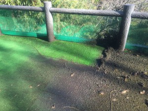 人工芝の洗浄4 